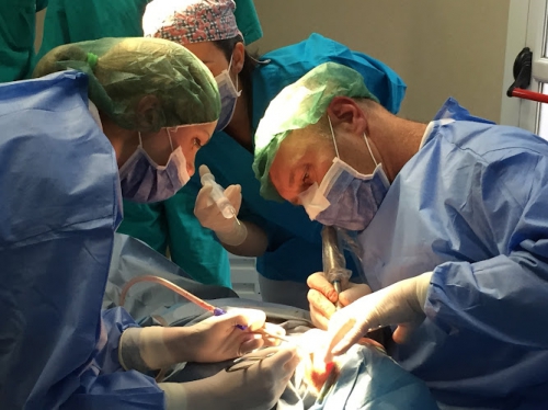 Foto Dentista Arezzo | Iris Compagnia Odontoiatrica