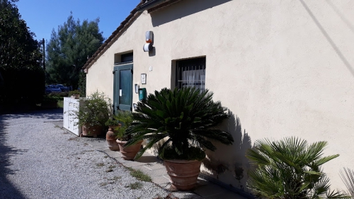 Foto Panarelli Dr. Marco