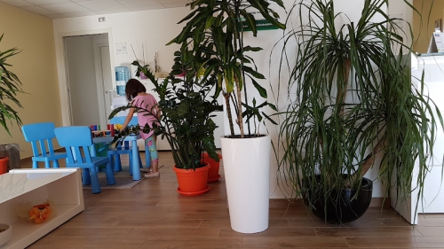 Foto Dentalcity Potenza