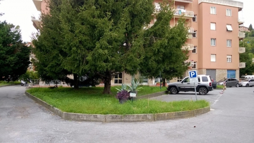Foto Centro Odontoiatrico Vullo Srl Foto Centro Odontoiatrico Vullo Srl