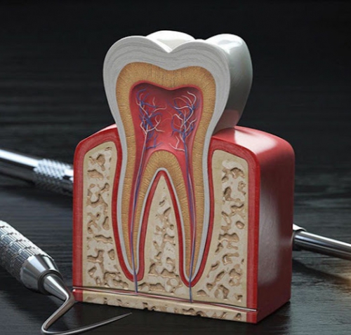 Foto Studio Dentistico Alimonti