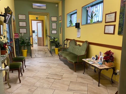 Foto Studio Dental Servis di Bosini Giuseppe